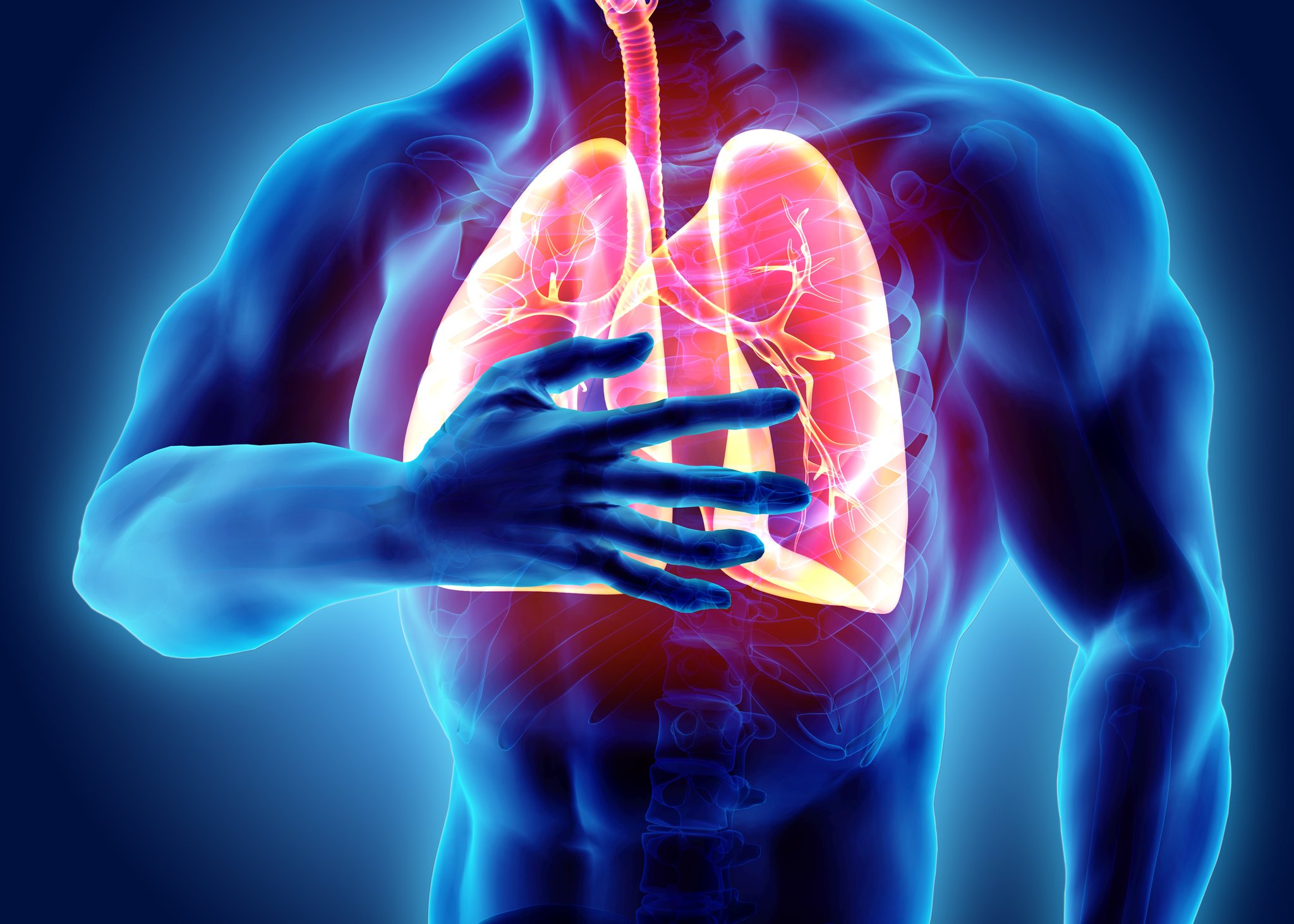 What Do You Understand By Respiratory Quotient